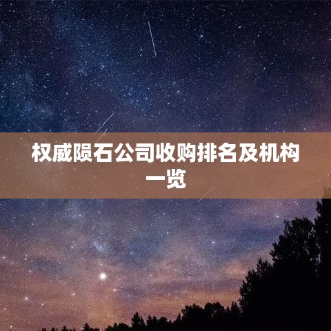 权威陨石公司收购排名及机构一览