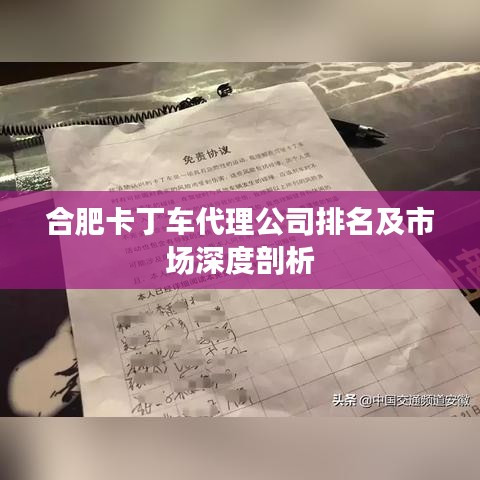 合肥卡丁车代理公司排名及市场深度剖析