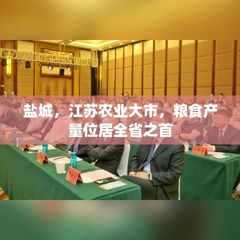 盐城，江苏农业大市，粮食产量位居全省之首