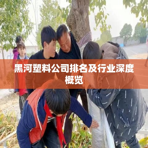 黑河塑料公司排名及行业深度概览