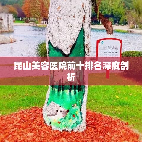 昆山美容医院前十排名深度剖析