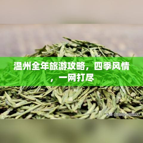 温州全年旅游攻略，四季风情，一网打尽