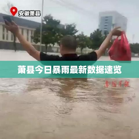 萧县今日暴雨最新数据速览