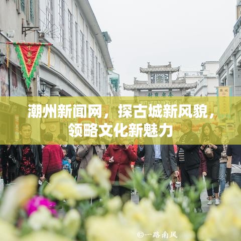 潮州新闻网，探古城新风貌，领略文化新魅力