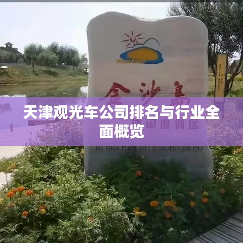 天津观光车公司排名与行业全面概览