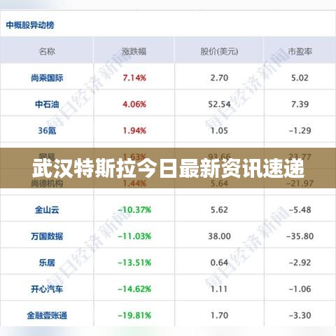 武汉特斯拉今日最新资讯速递