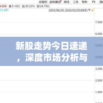 新股走势今日速递，深度市场分析与未来展望