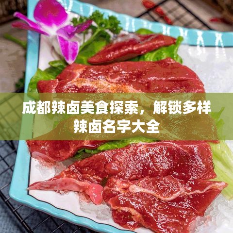 成都辣卤美食探索，解锁多样辣卤名字大全