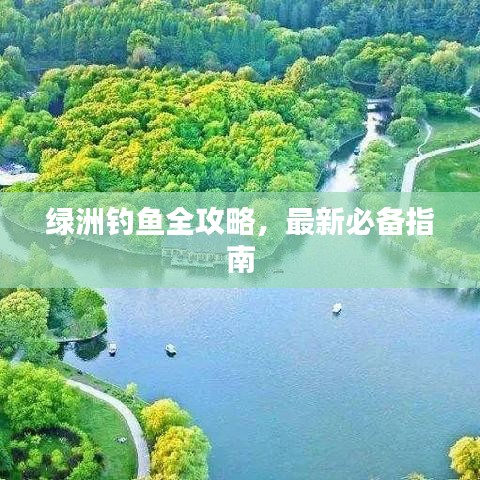 绿洲钓鱼全攻略，最新必备指南