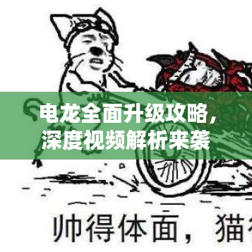 电龙全面升级攻略，深度视频解析来袭