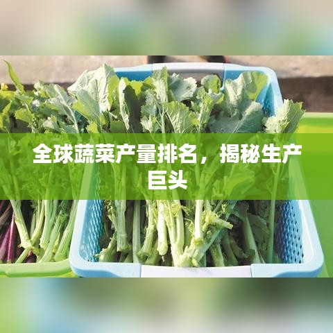 全球蔬菜产量排名，揭秘生产巨头