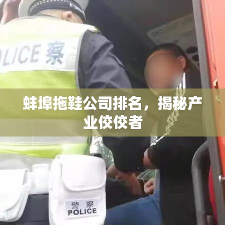 蚌埠拖鞋公司排名，揭秘产业佼佼者