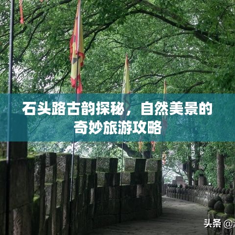 石头路古韵探秘，自然美景的奇妙旅游攻略