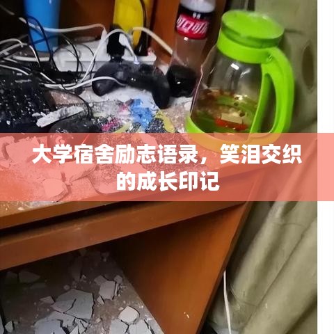 大学宿舍励志语录，笑泪交织的成长印记