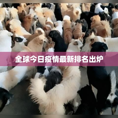 全球今日疫情最新排名出炉