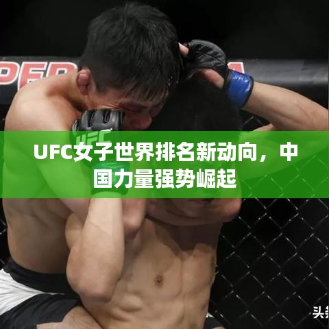 UFC女子世界排名新动向，中国力量强势崛起