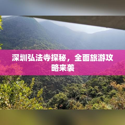 深圳弘法寺探秘，全面旅游攻略来袭