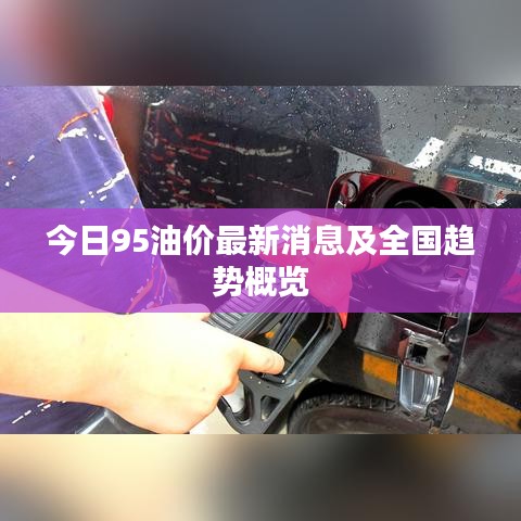 今日95油价最新消息及全国趋势概览