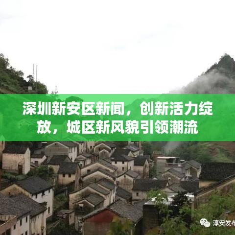 深圳新安区新闻，创新活力绽放，城区新风貌引领潮流