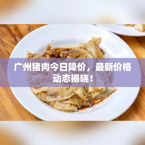 广州猪肉今日降价，最新价格动态揭晓！