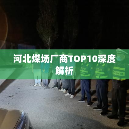 河北煤场厂商TOP10深度解析