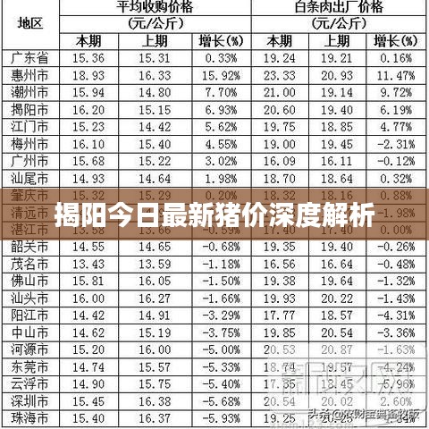 2025年1月20日 第6页