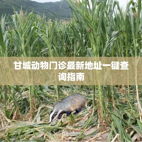 甘城动物门诊最新地址一键查询指南