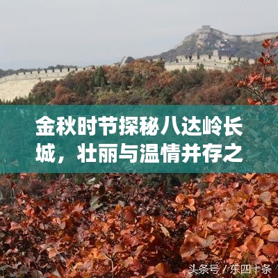 金秋时节探秘八达岭长城，壮丽与温情并存之旅