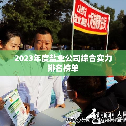 2023年度盐业公司综合实力排名榜单