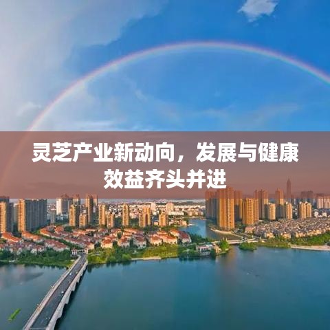 灵芝产业新动向，发展与健康效益齐头并进