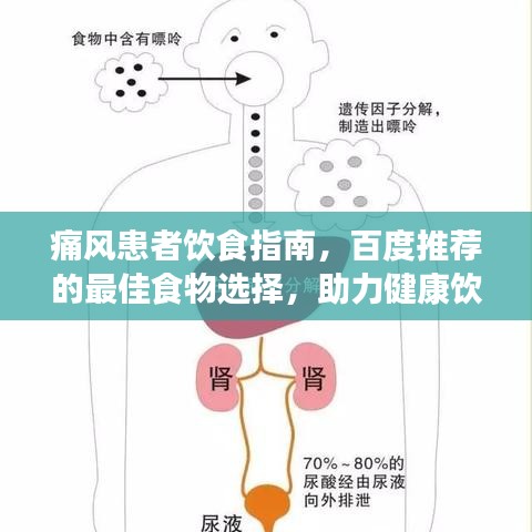 痛风患者饮食指南，百度推荐的最佳食物选择，助力健康饮食！