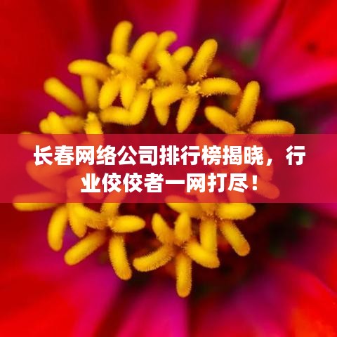 长春网络公司排行榜揭晓，行业佼佼者一网打尽！