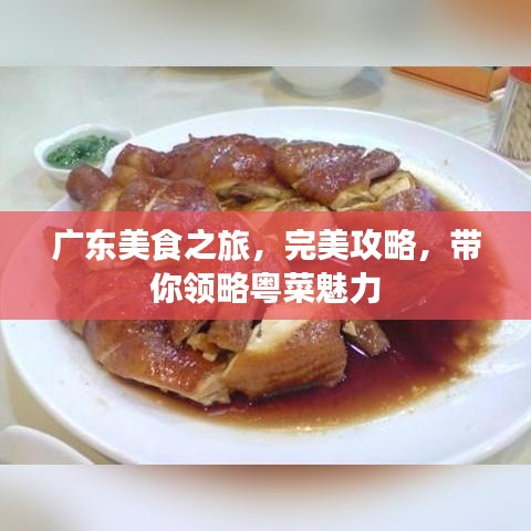 广东美食之旅，完美攻略，带你领略粤菜魅力