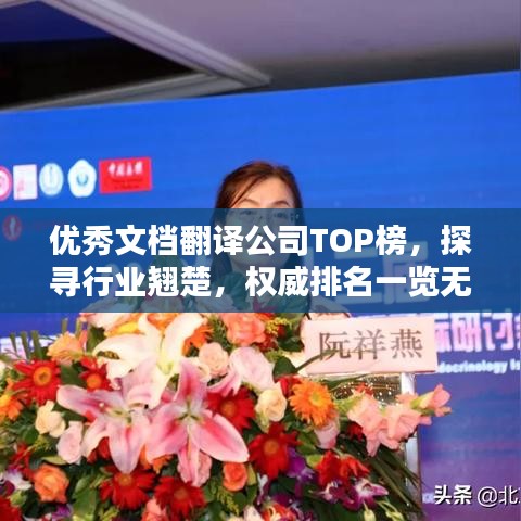 优秀文档翻译公司TOP榜，探寻行业翘楚，权威排名一览无遗