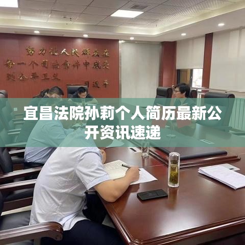 宜昌法院孙莉个人简历最新公开资讯速递