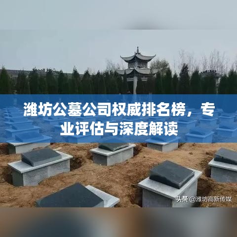 潍坊公墓公司权威排名榜，专业评估与深度解读