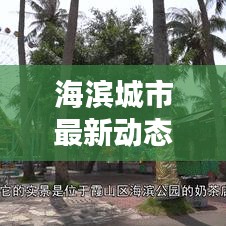 海滨城市最新动态与魅力，新闻头条大揭秘