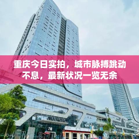 重庆今日实拍，城市脉搏跳动不息，最新状况一览无余