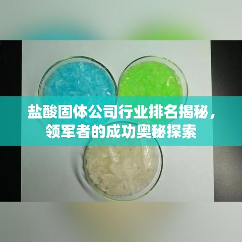 盐酸固体公司行业排名揭秘，领军者的成功奥秘探索