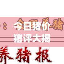 今日猪价猪评大揭秘，市场走势分析与精准预测