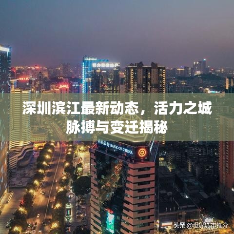 深圳滨江最新动态，活力之城脉搏与变迁揭秘