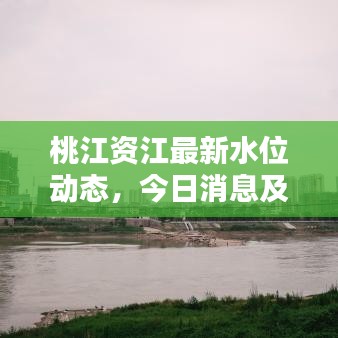 桃江资江最新水位动态，今日消息及影响分析