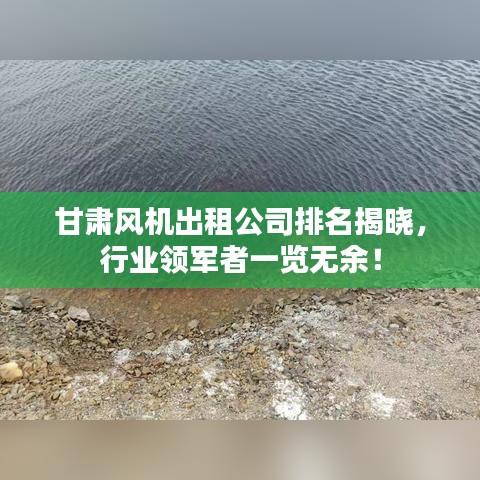 甘肃风机出租公司排名揭晓，行业领军者一览无余！