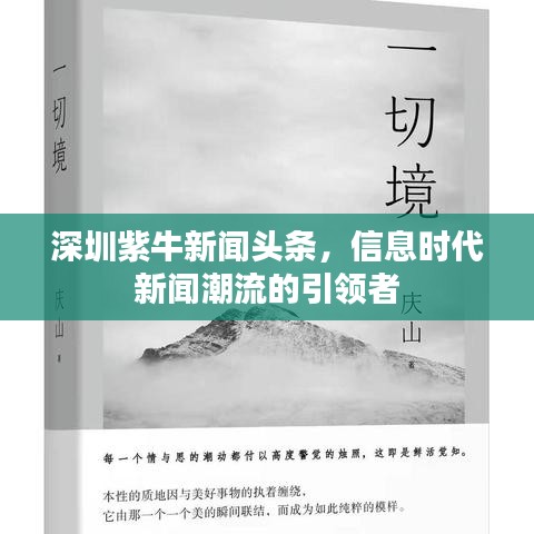 深圳紫牛新闻头条，信息时代新闻潮流的引领者