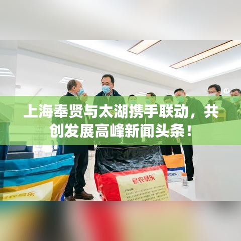 上海奉贤与太湖携手联动，共创发展高峰新闻头条！