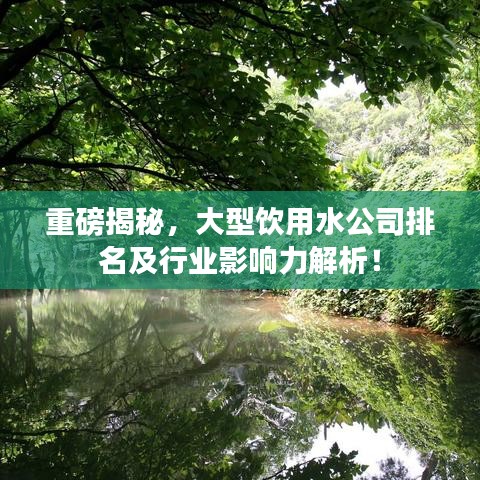 重磅揭秘，大型饮用水公司排名及行业影响力解析！