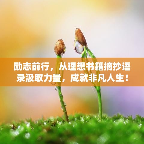 励志前行，从理想书籍摘抄语录汲取力量，成就非凡人生！