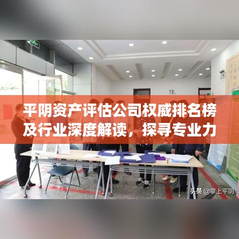 平阴资产评估公司权威排名榜及行业深度解读，探寻专业力量与优质服务