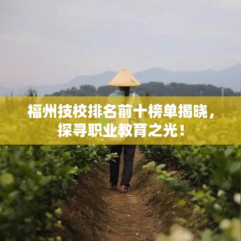 福州技校排名前十榜单揭晓，探寻职业教育之光！