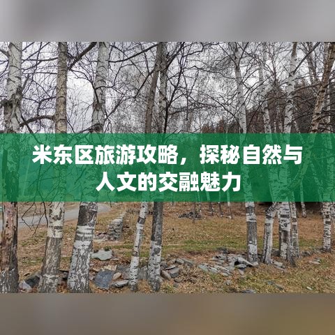 米东区旅游攻略，探秘自然与人文的交融魅力